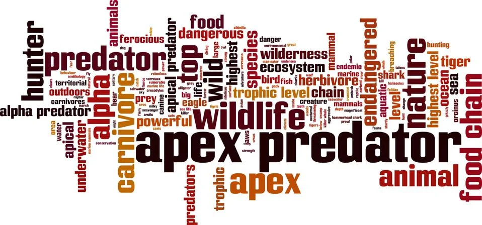 Apex predator word cloud Stock Illustration