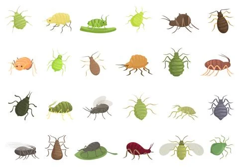 Aphid icons set cartoon vector. Insect summer nature Stock Illustration