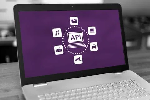 Api concept on a laptop Foto stock