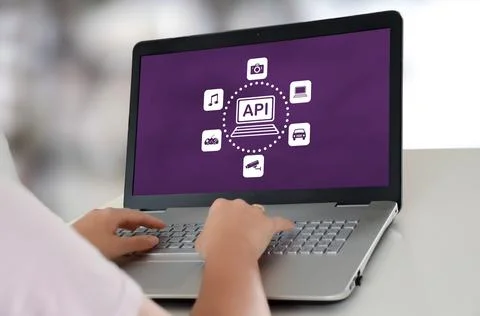 Api concept on a laptop Foto stock