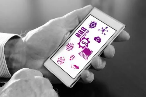 Api concept on a smartphone 스톡 일러스트