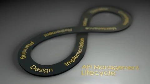 API Management Lifecycle concept animation background. 動画素材 115098166