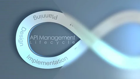 API Management Lifecycle concept animation background. Vidéo 115272377