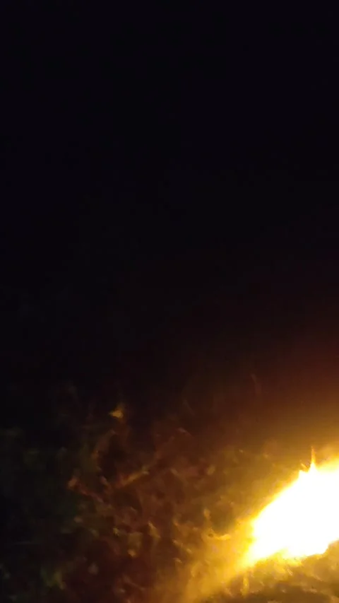 Api unggun Stock Footage 224505498