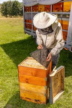 Apiarist checking the hives Stock Photos