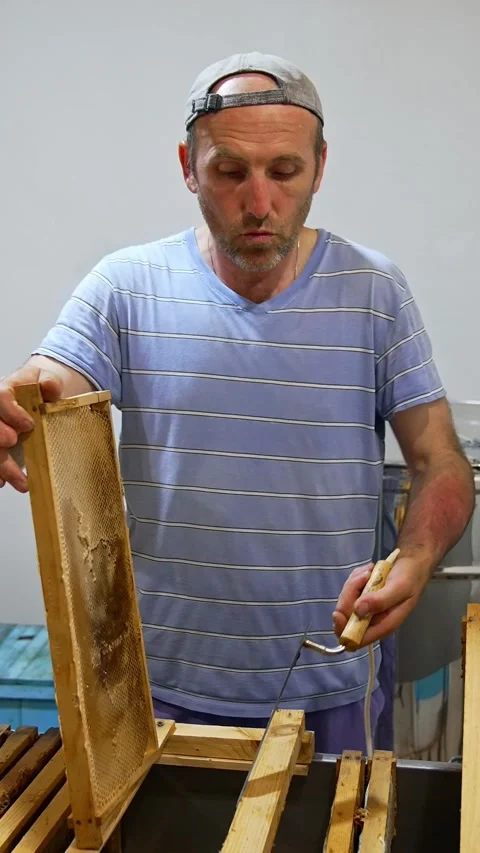 Apiarist opens the cells of frame full of honey. Bee farmer preparing the frames Stock Footage 342248272