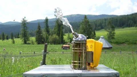 Apiary in the Altai Mountains, all about honey Stock Footage 280069799