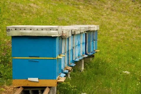Apiary in beautiful spring yard Stock-Fotos