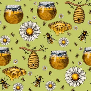 Apiary bee vector chamomile hand drawn vintage honey making farmer beekeeper Ilustración de archivo