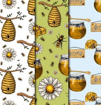 Apiary bee vector chamomile hand drawn vintage honey making farmer beekeeper Иллюстрация