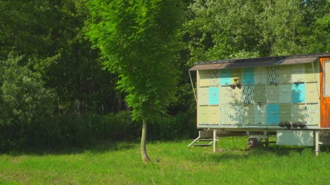 Apiary with bees in nature Stock Footage 144472905