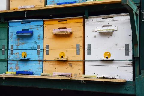 Apiary on a car platform in the forest in the Caucasus mountains, Russia. Woo Stock Photos