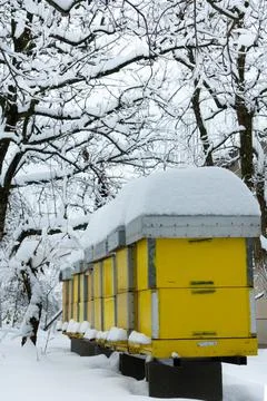 Apiary in cold winter time Stock Photos
