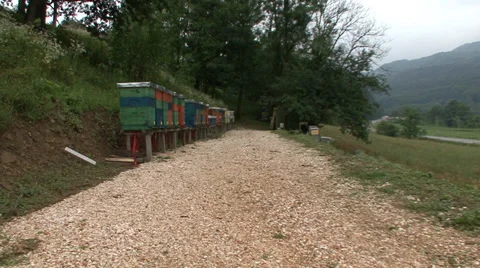 Apiary in countryside Stock Footage 39660622