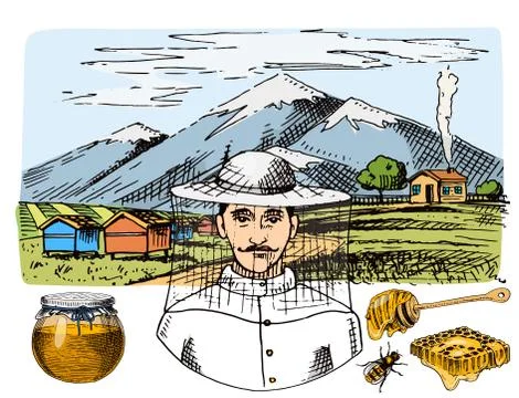 Apiary farm vector hand drawn vintage honey making farmer beekeeper illustration Ilustración de archivo