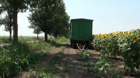 Apiary 스톡 동영상 30757046