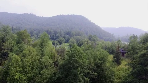 Apiary in a forest on the mountain Stock-Footage 69863071