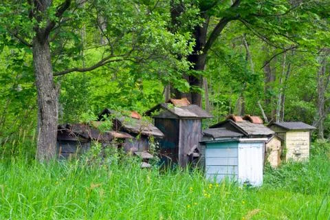 Apiary in forest Stock Photos