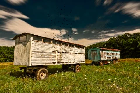 Apiary Stock Illustration