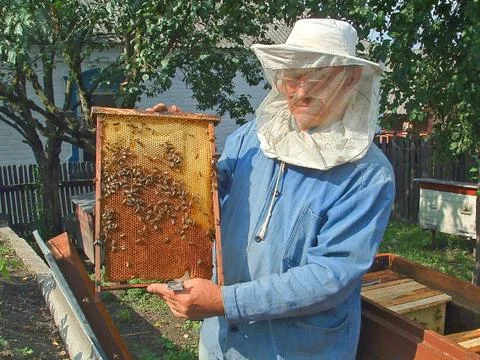 On an apiary Stock Photos