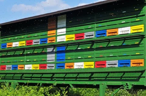 Apiary Stock Photos