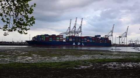 APL container ship Stock Footage 277632641
