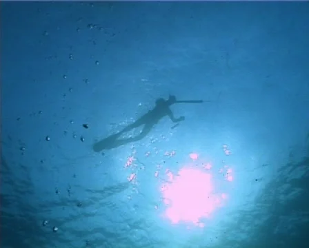 Apnea hunter (D120) 動画素材 150164