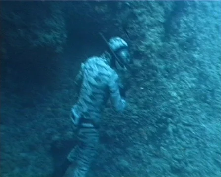 Apnea hunter (D121) 動画素材 150169