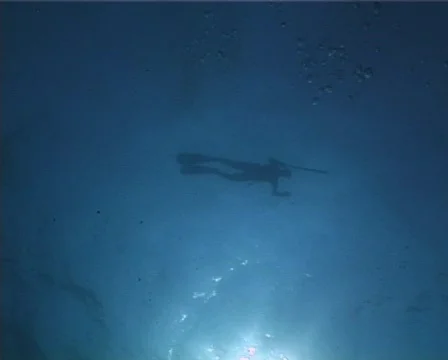 Apnea hunter (D122) 動画素材 150180