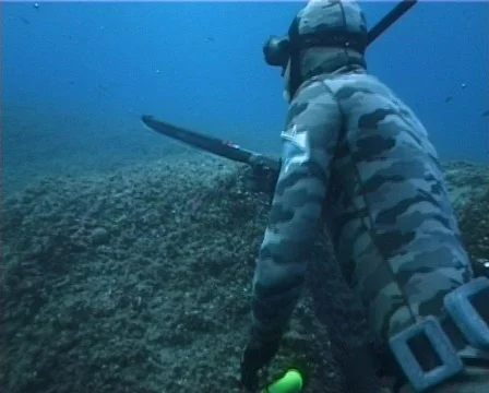 Apnea hunter (D123) 動画素材 150184