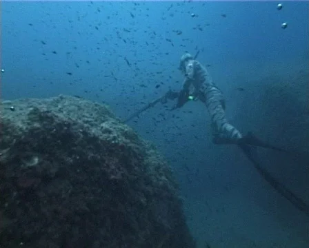 Apnea hunter (D128) Stock Footage