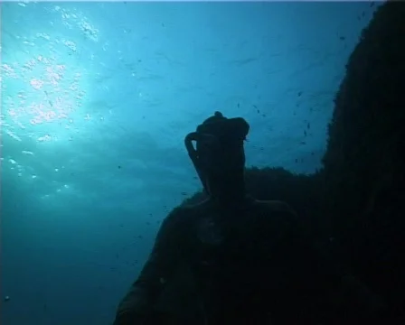 Apnea hunter (D129) 動画素材 150213