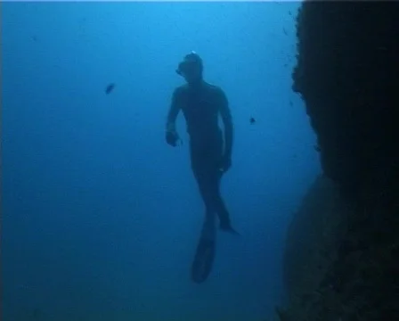 Apnea hunter (D130) 動画素材 146093