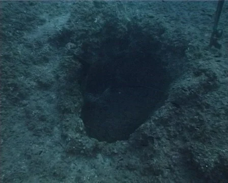 Apnea hunter (D132) 動画素材 150467