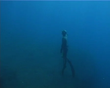 Apnea hunter (D135) 動画素材 146097