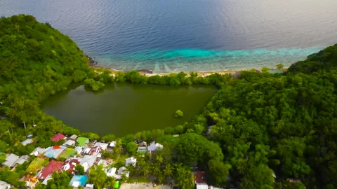 Apo Island. Philippines. Video stock 299726205