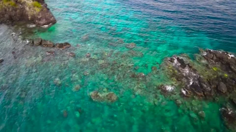 Apo Island. Philippines. Video stock 299730270