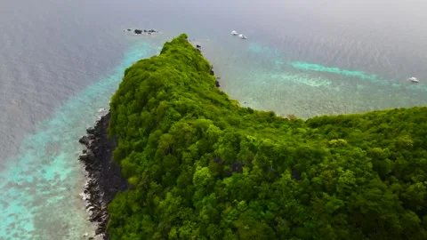 Apo Island. Philippines. Video stock 299751340