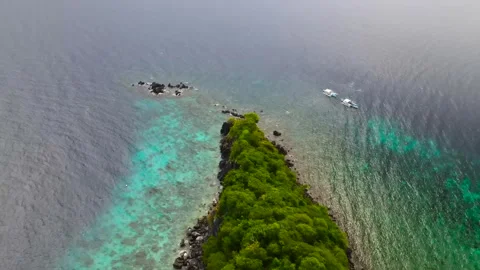 Apo Island. Philippines. Video stock 299752413