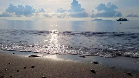 Apo Island. Philippines. Video stock 299921513