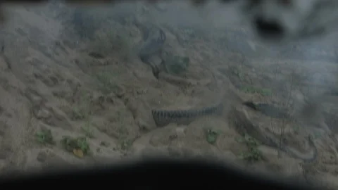 Apocalypse. A lonely warrior wanders through the wasteland. Stock Footage 95415790