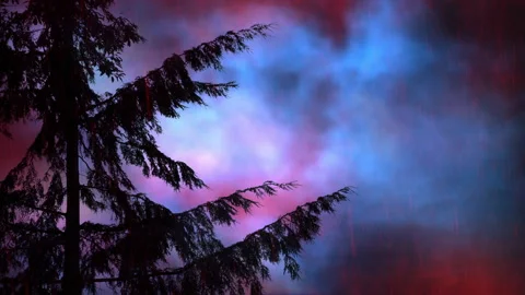 Apocalypse Scene Of Tree In Acid Rain With Stormy Sky Stock Footage 247972542