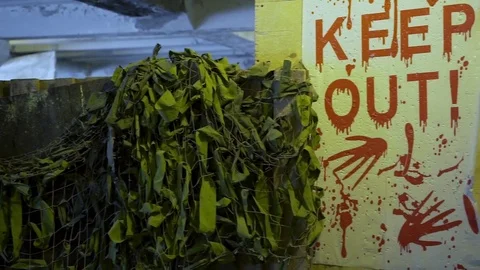 Apocalypse of the writing on the wall Stock Footage 70805444