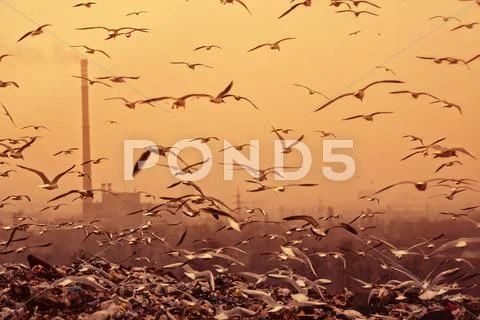 Apocalyptic background Stock Photos