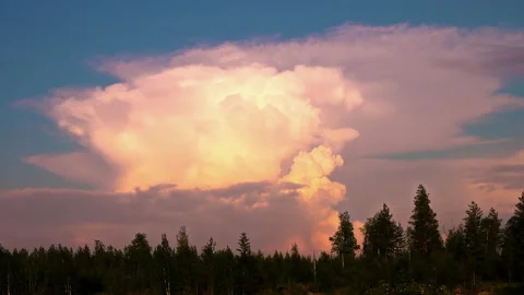 Apocalyptic sky looks like explosion and fire over Northern forest. Stock Footage 202605267