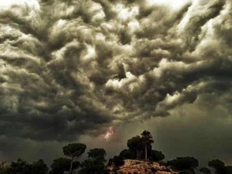 Apocalyptic thunderstorm over the forest Stock Photos