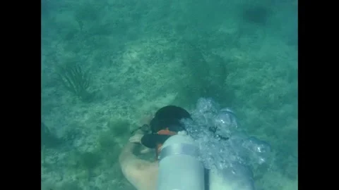 Apollo Space Program astronaut scuba diving training Stock Footage 263453089