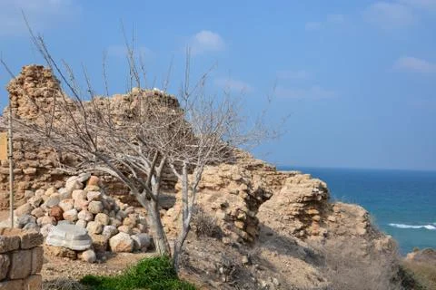 Apollonia Stock Photos