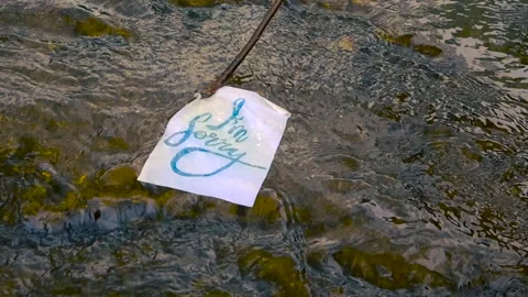 Apology Letter Floating Down a Flowing River Current Stock Footage 340847581