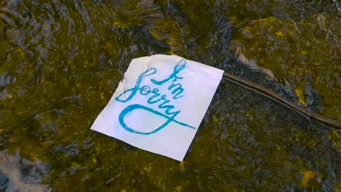 Apology note with handwritten message floating down a river Stock Footage 336955907